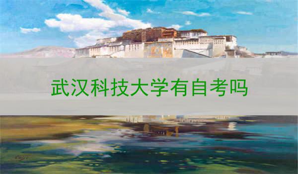 武汉科技大学有自考吗