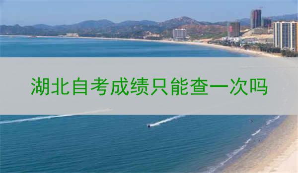 湖北自考成绩只能查一次吗