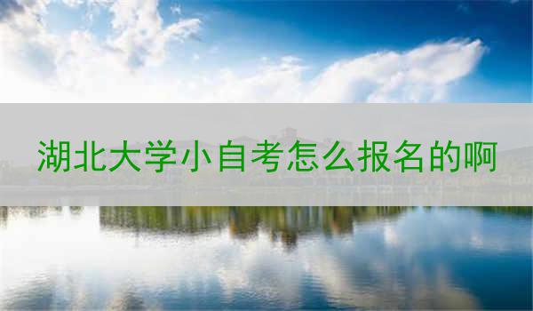 湖北大学小自考怎么报名的啊