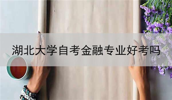 湖北大学自考金融专业好考吗