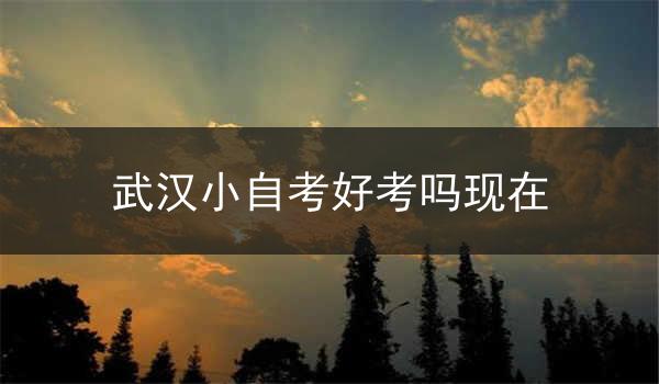 武汉小自考好考吗现在