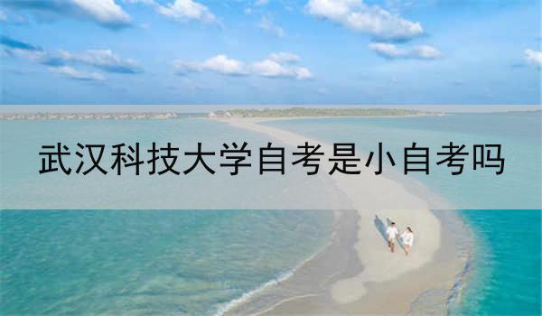 武汉科技大学自考是小自考吗