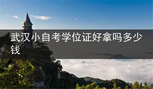 武汉小自考学位证好拿吗多少钱