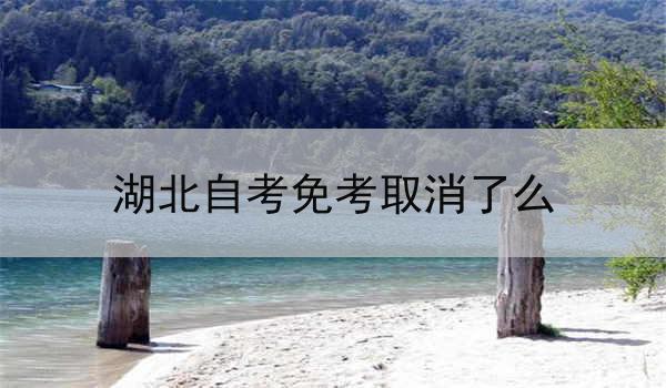 湖北自考免考取消了么