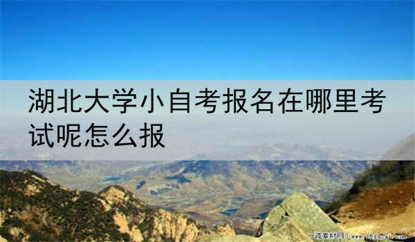 湖北大学小自考报名在哪里考试呢怎么报