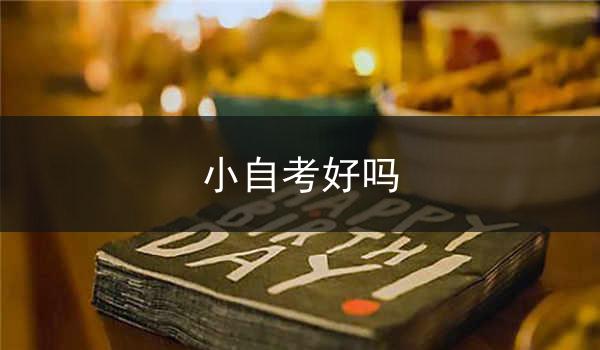 小自考好吗