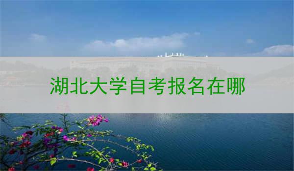 湖北大学自考报名在哪