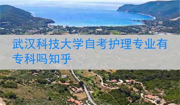 武汉科技大学自考护理专业有专科吗知乎