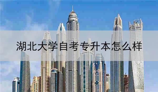 湖北大学自考专升本怎么样