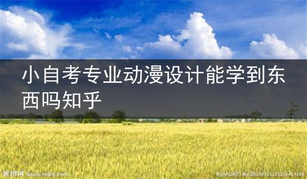 小自考专业动漫设计能学到东西吗知乎