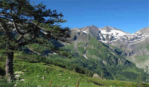 湖北工业大学自考生怎么样啊