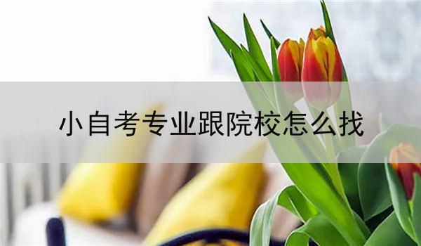 小自考专业跟院校怎么找