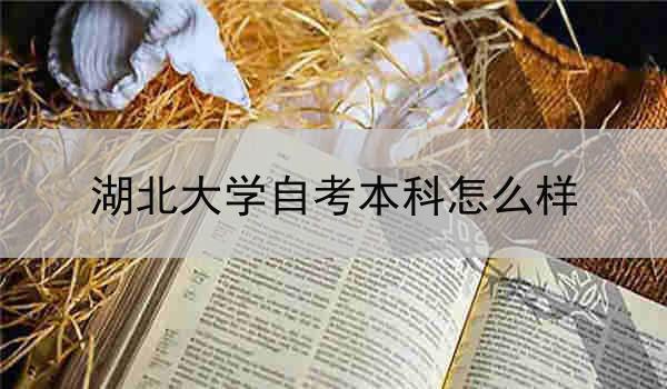 湖北大学自考本科怎么样