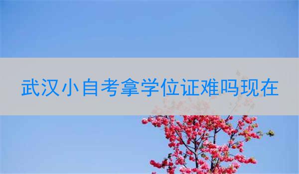 武汉小自考拿学位证难吗现在