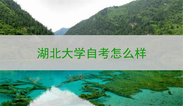湖北大学自考怎么样