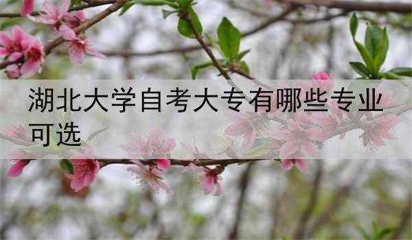 湖北大学自考大专有哪些专业可选