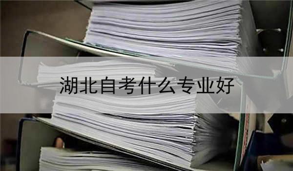 湖北自考什么专业好