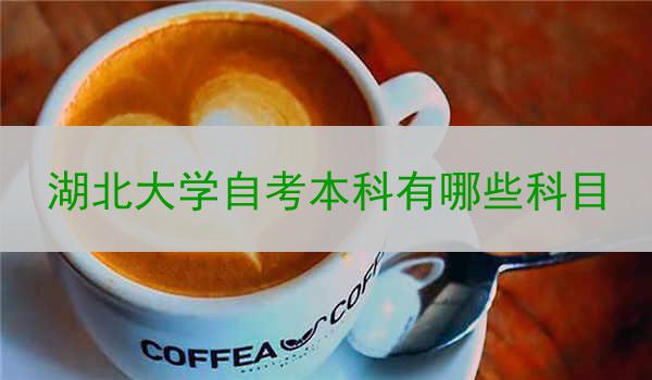 湖北大学自考本科有哪些科目