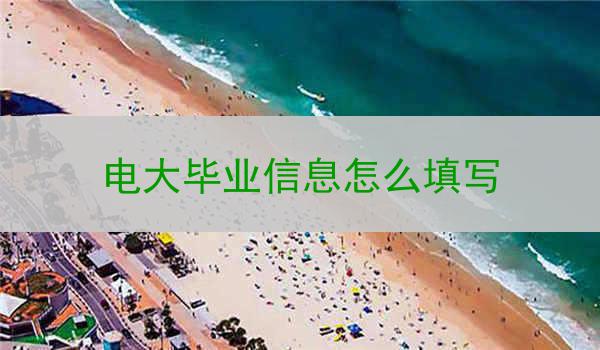 电大毕业信息怎么填写