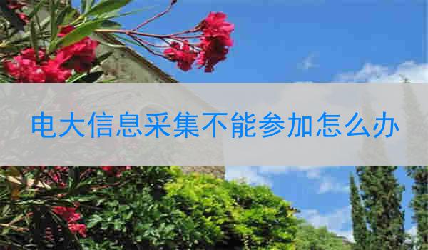 电大信息采集不能参加怎么办