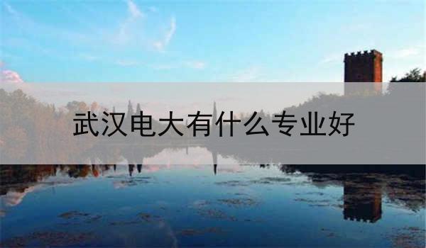 武汉电大有什么专业好