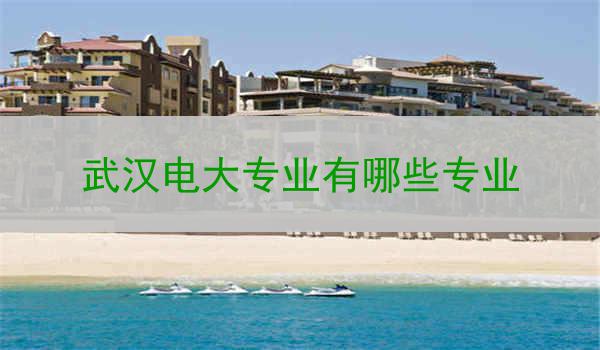 武汉电大专业有哪些专业