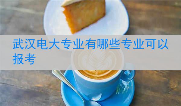 武汉电大专业有哪些专业可以报考
