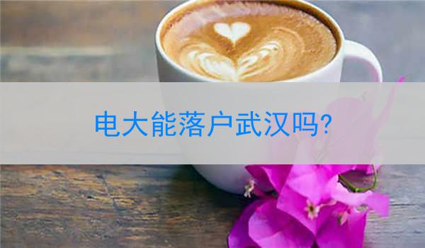 电大能落户武汉吗?