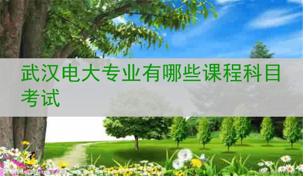 武汉电大专业有哪些课程科目考试