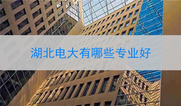 湖北电大有哪些专业好