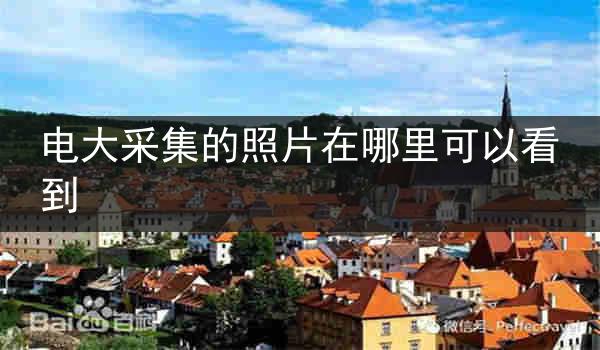 电大采集的照片在哪里可以看到