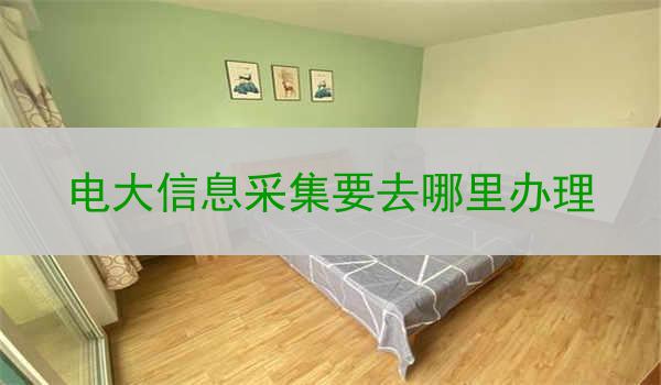 电大信息采集要去哪里办理