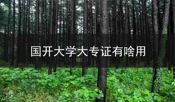 国开大学大专证有啥用