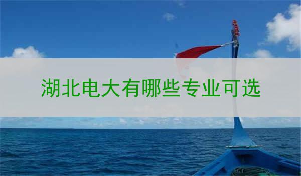 湖北电大有哪些专业可选
