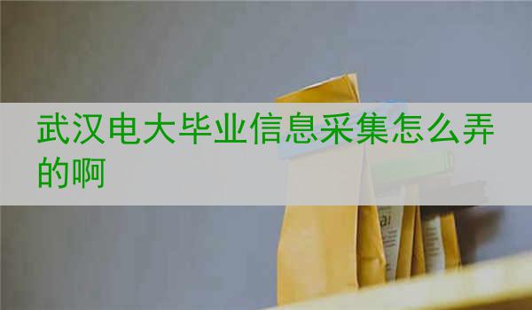 武汉电大毕业信息采集怎么弄的啊