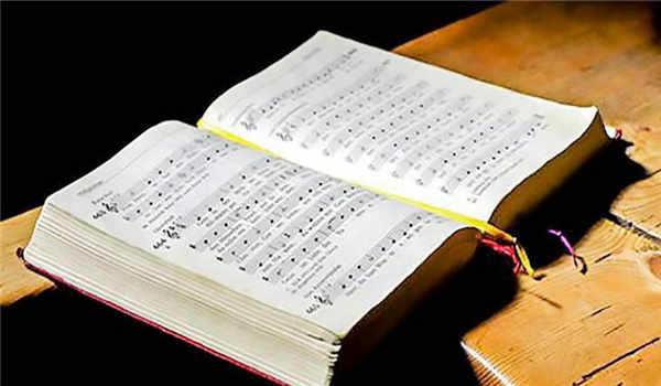 电大信息采集能自己提供电子照片么