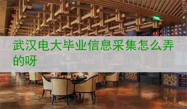 武汉电大毕业信息采集怎么弄的呀