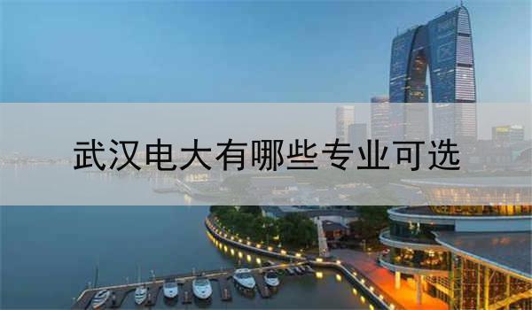 武汉电大有哪些专业可选