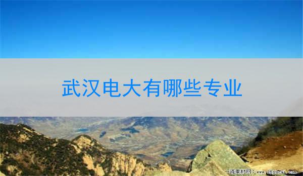 武汉电大有哪些专业