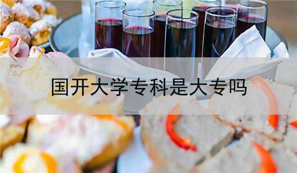 国开大学专科是大专吗