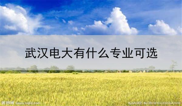 武汉电大有什么专业可选