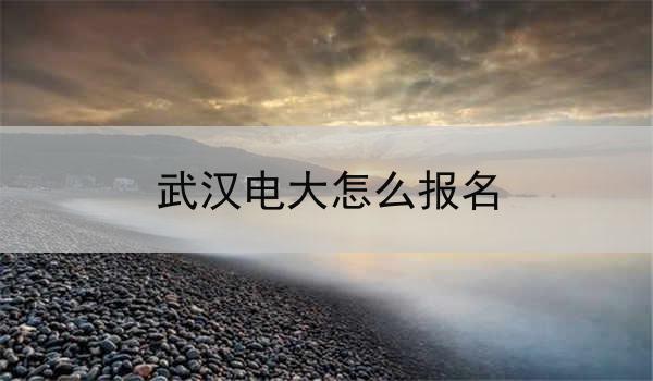 武汉电大怎么报名