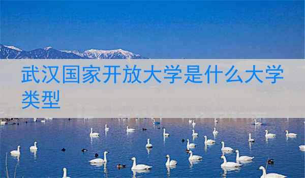 武汉国家开放大学是什么大学类型