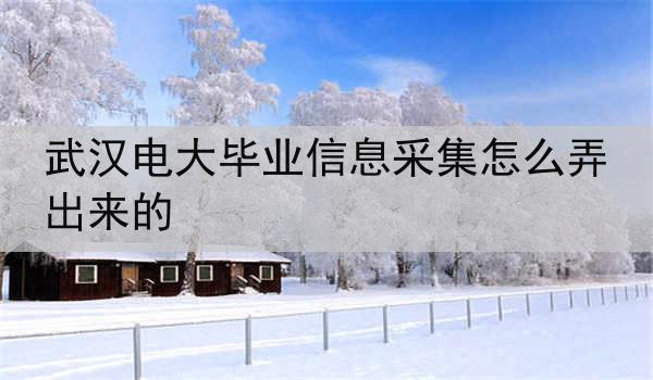 武汉电大毕业信息采集怎么弄出来的