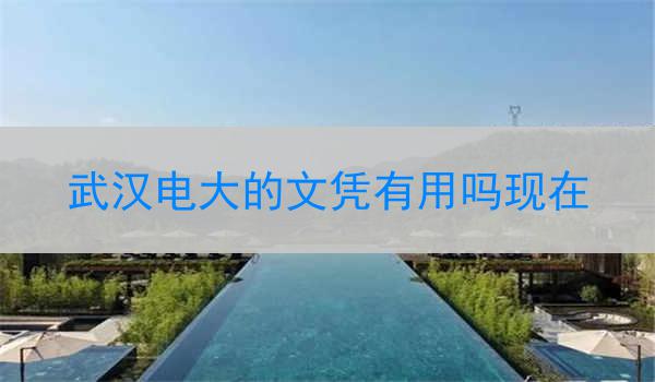 武汉电大的文凭有用吗现在