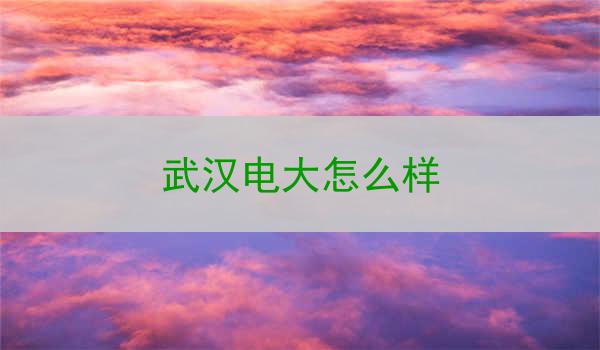 武汉电大怎么样