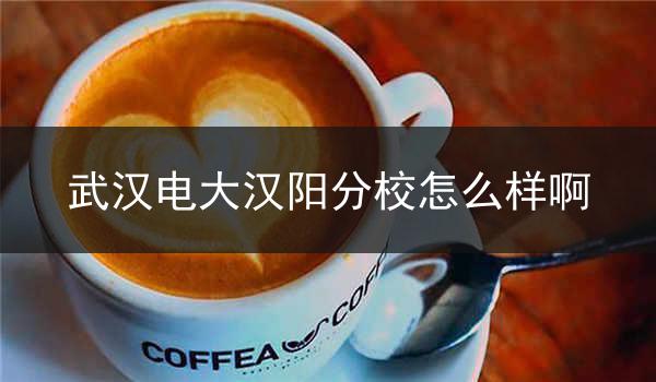 武汉电大汉阳分校怎么样啊