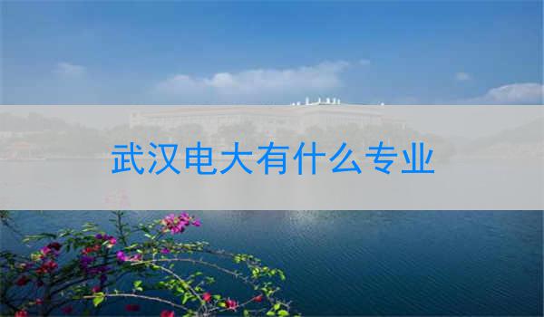 武汉电大有什么专业