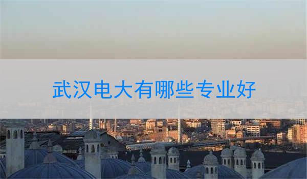 武汉电大有哪些专业好