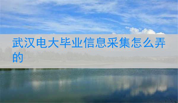 武汉电大毕业信息采集怎么弄的